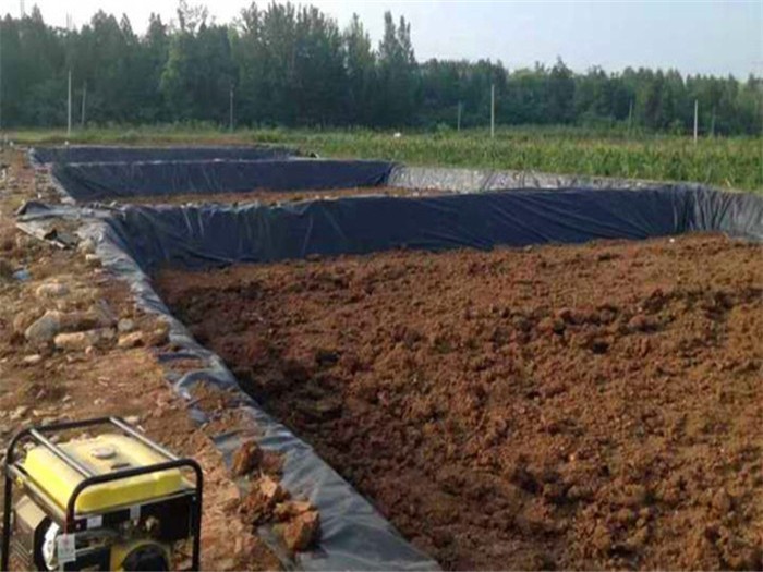 魚池防(fang)滲膜應該怎(zen)樣選擇